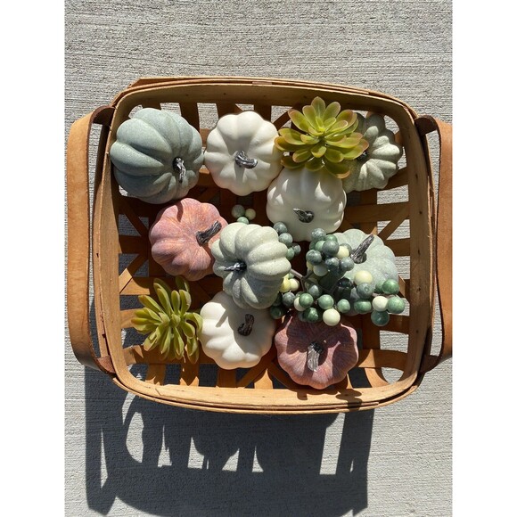 Fall Autumn Thanksgiving Gourds Succulents Pumpkin Bowl Fillers Berries Tabletop - Picture 3 of 6